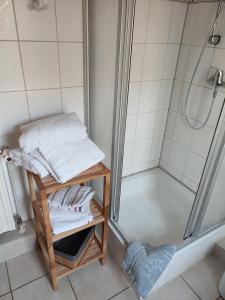 a bathroom with a shower and a shelf with towels at Zum Boddenblick in Breege