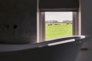 a window with a view of a field of horses at The Blind Bull in Little Hucklow