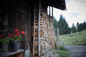 Fotografia z galérie ubytovania Auhäuslalm v destinácii Maria Alm am Steinernen Meer