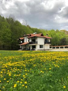 ein Haus auf einem Feld gelber Blumen in der Unterkunft Wildwood Villa in Aprilzi