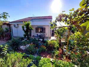 Gallery image of Apartments Ž in Njivice +38 photos