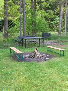 two benches and a picnic table in a park at Chalupa u rybníka in Libín