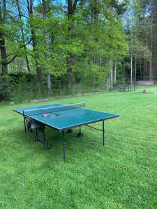 a ping pong table in the middle of a field at Chalupa u rybníka in Libín