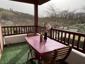 a table with a vase of flowers on a porch at Charmant T2 avec terrasse et piscine, proche des thermes à Cambo-Les-Bains - FR-1-495-59 in Cambo-les-Bains