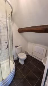 a bathroom with a toilet and a shower and a sink at Antlers Bed and Breakfast in Abbots Bromley