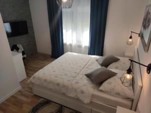 Galeriebild der Unterkunft Guest house Jandric in Drežnik Grad