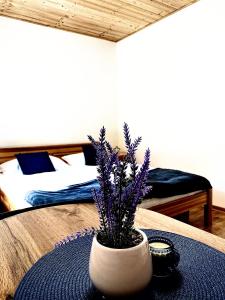 Pásztó的住宿－Fakanalas Fogadó，白色花瓶,桌子上布满紫色花