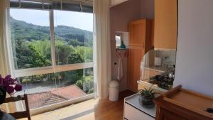 a kitchen with a large window with a mountain view at Appartamento BELVEDERE in Montecatini Terme