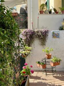 een patio met potplanten en een tafel met bloemen bij Casa Di Nicola in Cetara