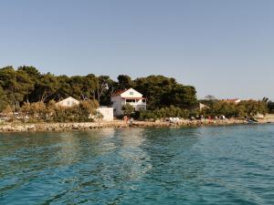 a group of birds on the shore of the water at Apartment Porat 2 in Ugljan +12 photos