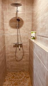 a shower with a shower head in a bathroom at Villa moderne avec spa à Montalivet in Vensac