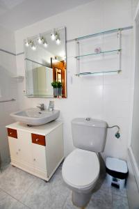 uma casa de banho com um WC, um lavatório e um espelho. em Low Cost San Juan Apartment em San Juan de Alicante