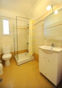 ein Badezimmer mit Toilette, Waschbecken und Dusche in der Unterkunft Dionysos Luxury Apartments in Nydri + 16 Fotos