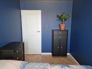 Fotografia z galérie ubytovania Podzamcze No 1 APARTMENT v destinácii Wałbrzych