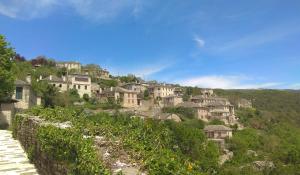 a bunch of houses on a hill with vines at Zelinia in Vitsa