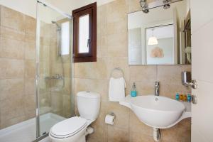 a bathroom with a toilet and a sink and a shower at Aithra -Agios Petros Andros in Gavrio