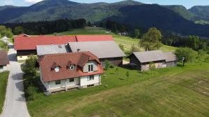 Příroda nedaleko apartmánu