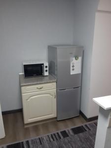 a small kitchen with a refrigerator and a microwave at 1 Zimmer Wohnung für 1-2 Gäste in Gößnitz