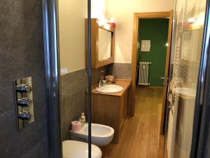 een badkamer met een wastafel, een toilet en een douche bij Splendido trilocale direttamente sulle piste in Aprica +17 foto's