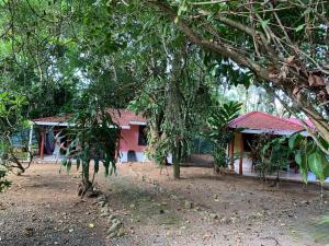 Gallery image of Brigitte's Ranch in Cahuita