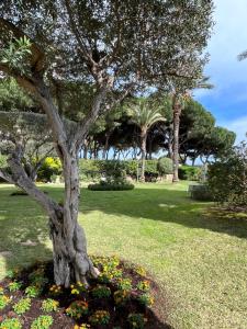 Vonkajšia záhrada v ubytovaní Platja d'Aro - Apartamento en primera línea de mar con parking