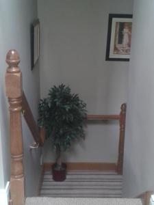 Fotografie z fotogalerie ubytování Ryebrook House v destinaci Killarney