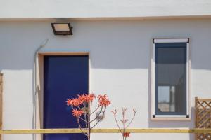 a house with a blue door and a plant at Salento Sea & Sun Apartment in Porto Cesareo