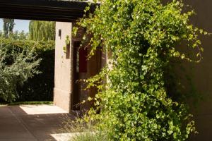 Um jardim em The owl lodge