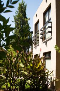 Um jardim em The owl lodge