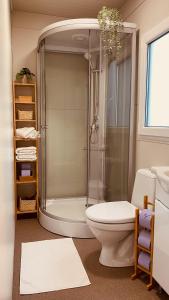 een badkamer met een douche en een toilet bij MAGNOLIA HOUSE by the RIVER in Metlika