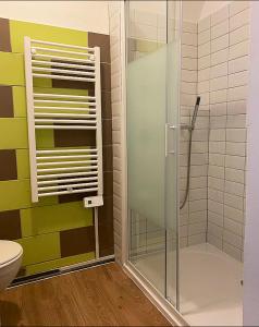 bagno con doccia in vetro e servizi igienici di Appartement de charme plein coeur de Moulins a Moulins