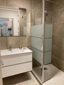 La salle de bains est pourvue d'une douche et d'un lavabo. dans l'établissement Superbe appartement avec jardin Saint Charles, à Biarritz