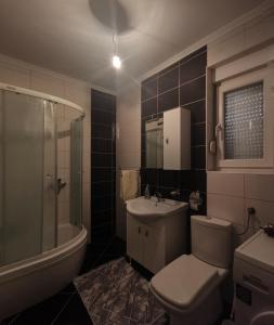 un bagno con wc, lavandino e doccia di Apartman Anja a Trebinje