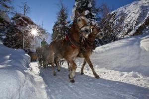 Alpenliebe Pitztal v zime