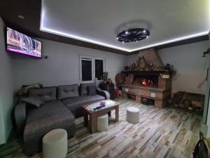 Posezení v ubytování Vila Dimitrijevic Lisine