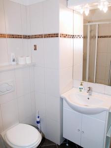 Baño blanco con aseo y lavamanos en Bed&Breakfast Kvarner, en Labin