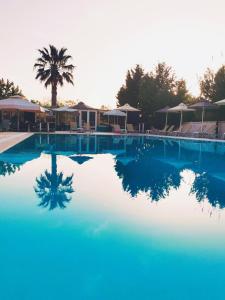 una grande piscina con una palma sullo sfondo di Sausan Hotel a Sidari