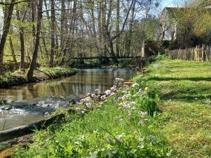 un arroyo con un puente y flores en la hierba en La Maison d'Anne-Marie, en Beauraing