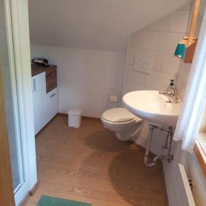 a bathroom with a toilet and a sink at Haus Sonnenalm in Forstau