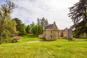 una casa vieja en un campo de hierba con un edificio en Château de Vieux Moulin 