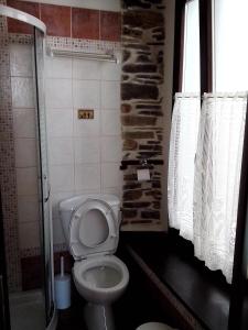 ein kleines Bad mit einem WC und einer Dusche in der Unterkunft Paris & Eleni in Áfissos