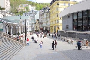 Gallery image of Three Rings Apartments in Karlovy Vary