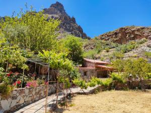 a garden with a house in the mountains at Casita el Parral in Tejeda