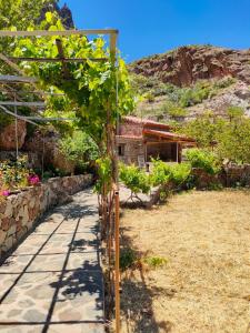 A garden outside Casita el Parral Még 17 kép