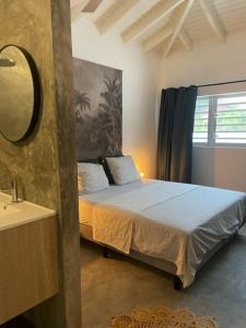 1 dormitorio con cama, espejo y lavamanos en Kas Felis in Watervillas, en Kralendijk