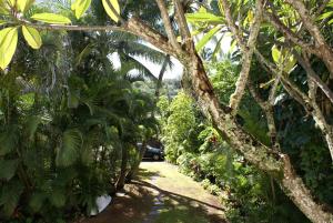 Zahrada ubytování Waimea Bay Shoreline House