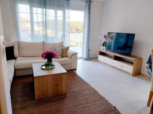 TV a/nebo společenská místnost v ubytování Apartment Frana DeLux