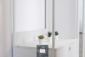une chambre blanche avec des plantes en pot sur une étagère dans l'établissement La casa di Elia e Italo, à Ostie
