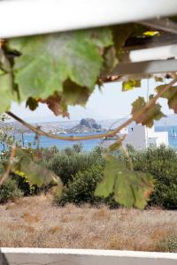 a view of the ocean from behind some plants at Villa Giorgos in Kefalos