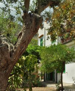 Gallery image of Seafront Apartments Garden House in Taormina